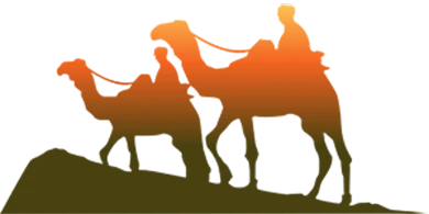 Hajeej International Travel logo